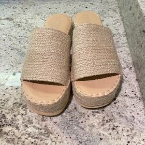 Matisse slides